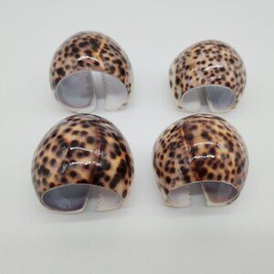 Pottery Barn Tiger Cowrie Shell Napkin Rings Set of 4